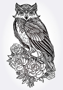 黑白时尚猫头鹰和花朵图案