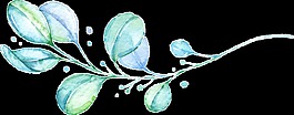 素雅创意水彩树枝透明素材