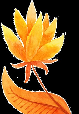 卡通秋天树叶透明免扣素材