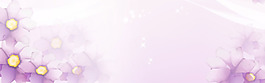 浪漫温馨粉色透明花朵淘宝banner背景