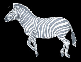 手绘斑马水彩透明装饰图案