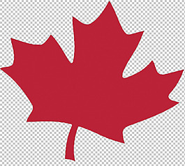 红色加拿大的枫叶免抠png透明图层素材