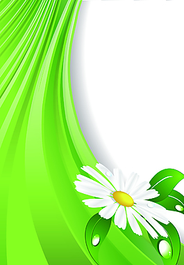 绿色飘带上的花朵背景