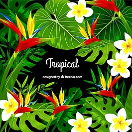 热带的背景设计