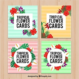 四彩色条纹的热带花牌