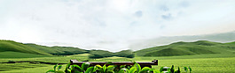 小清新蓝天草原背景