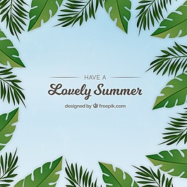 棕榈科热带叶的背景