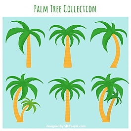 棕榈手绘平面图图片