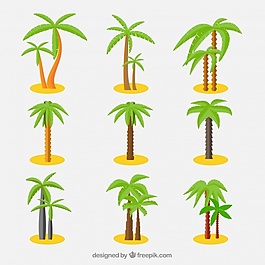 收藏美丽的棕榈树