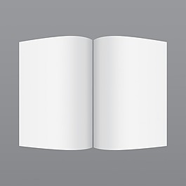 简单的白色模型杂志