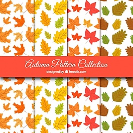 手绘干树叶图案