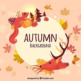 与squrrel鹿有趣的秋天的作文