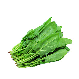 一堆新鲜的蔬菜png元素素材