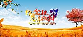 金秋十月海报