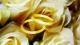 梦幻花卉戒指背景视频素材