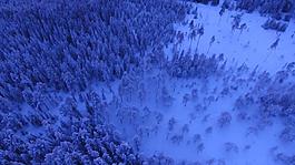 大气航拍雪海中的森林视频素材