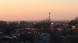 实拍夕阳下城市上空飞过的小鸟视频素材