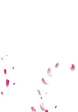 红色漂浮花瓣png元素素材