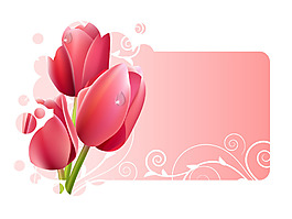 郁金香矢量素材