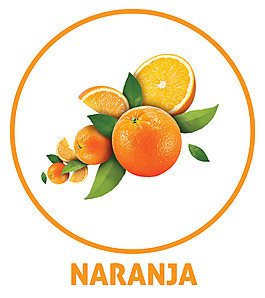 手绘水果图标元素