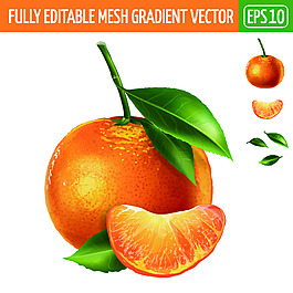 橘子卡通矢量素材