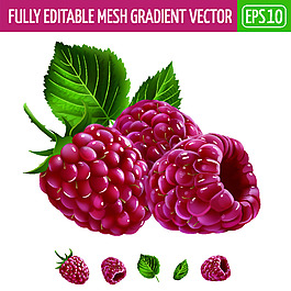 树莓水果卡通矢量素材