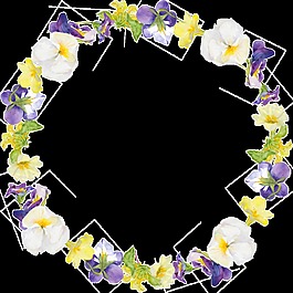 牵牛花圆形花环透明素材