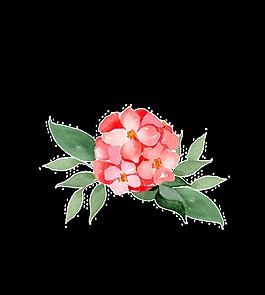 碎花花球透明素材