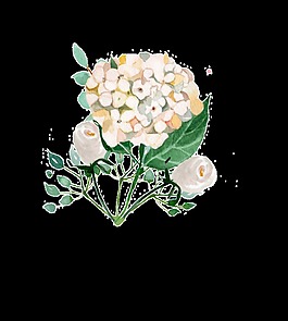 花店花卉透明素材