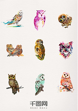 一组水彩动物猫头鹰设计素材