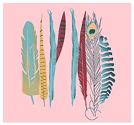 卡通矢量羽毛设计素材