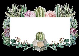 精美水彩植物透明素材