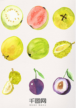 水彩植物水果素材