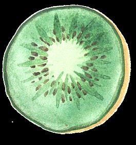 可爱卡通猕猴桃手绘透明素材