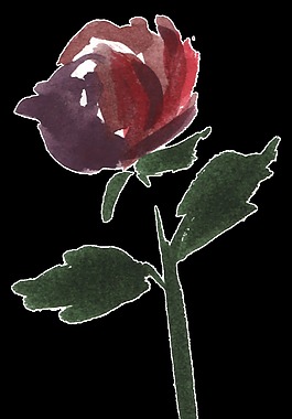 水彩玫瑰素材