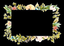 正方形植物边框卡通透明素材