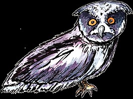 水彩猫头鹰卡通透明素材