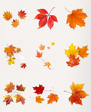 漂亮唯美秋季黄色枫叶