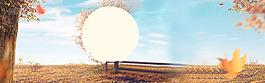 黄色树叶太阳banner背景素材