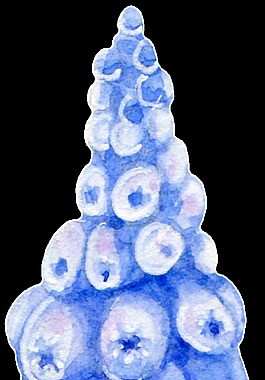 蓝莓透明装饰图案