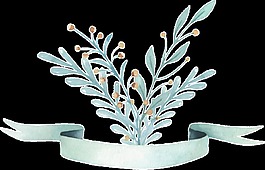 清新植物缎带透明装饰图案
