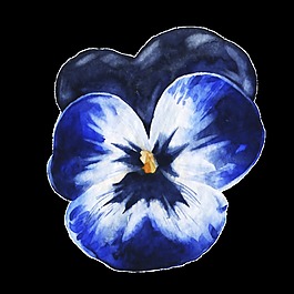 杜鹃花透明装饰图案