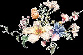 百花齐放透明装饰图案