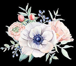 手绘盛开花朵礼品卡片透明装饰图案