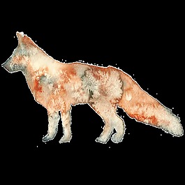 狼狗水彩透明装饰图案