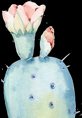 清新水彩仙人掌画装饰图案