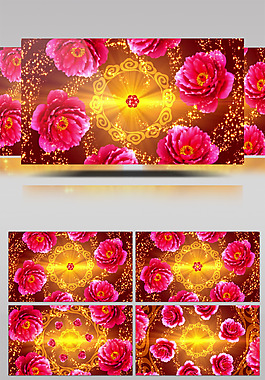 红黄色花视频素材