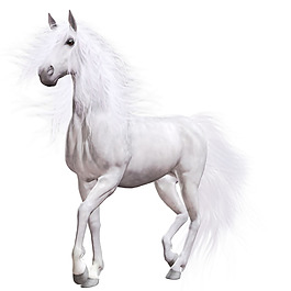 手绘简约白马元素