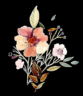 水彩鲜花透明装饰素材