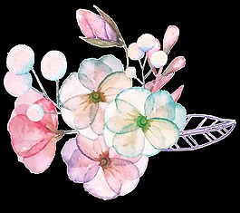 透明花蕊透明素材